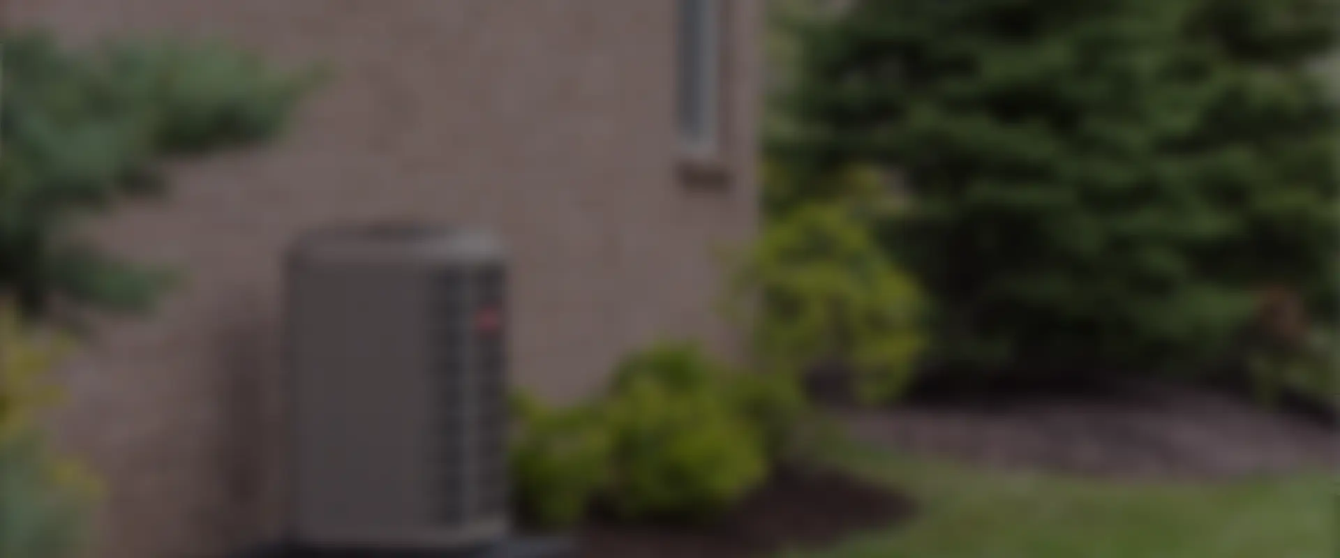 decorative background image